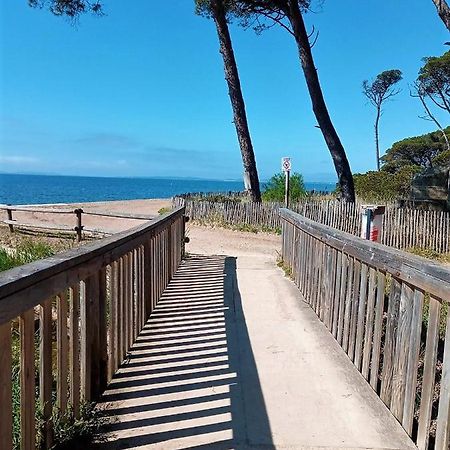 Le Jardin De La Plage - Linges Inclus La Londe-les-Maures Kültér fotó
